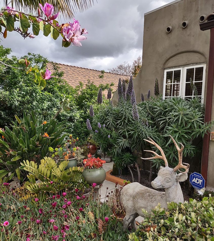 Numerous wrought iron statues decorate the landscape. Photo: Helix Water District La Mesa Home