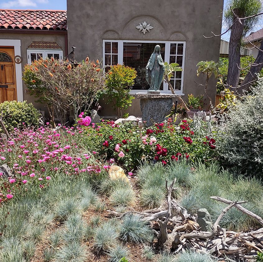 Joy Andrea says she enjoys maintaining her new landscape. Photo: Helix Water District La Mesa Home