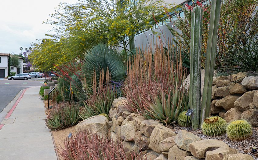 McCullough Landscape Architecture designed the garden to showcase three styles of landscapes that are adapted to the local climate and need half to a fifth of the water that a traditional lawn needs. Photo: Helix Water District Orchid Award