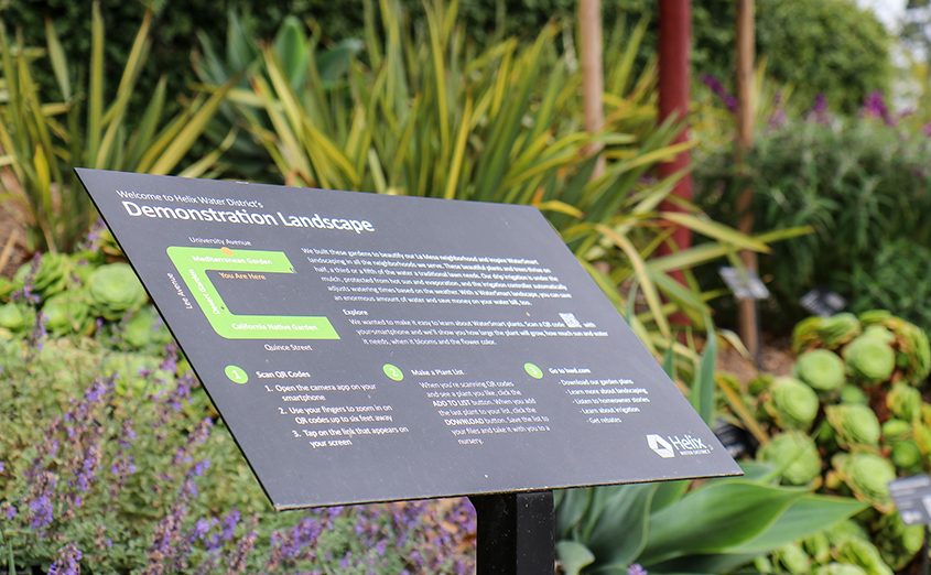 The Helix Water District demonstration garden includes interactive elements such as descriptive signs with QR codes that visitors can scan to learn more about specific plants. Photo: Helix Water District