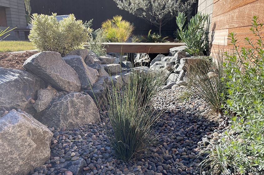 The landscape design features the generous use of swales to capture and hold rainwater to prevent runoff. Photo: Olivenhain Municipal Water District 