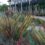 Experience a Sustainable Demonstration Garden Self-Tour