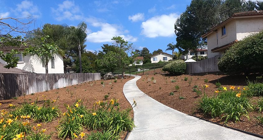 The finished project retains grass for activities, while using both low-water use plants and natives in different areas. Photo: Vallecitos Water District