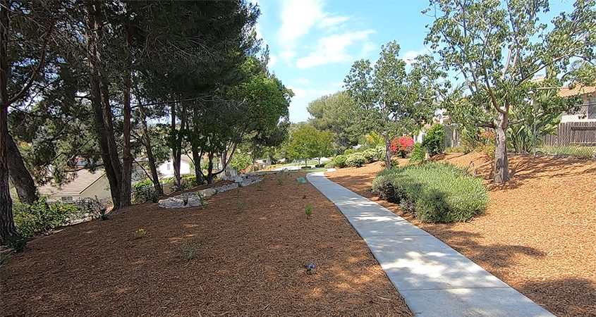 Outreach from the Vallecitos Water District helped El Norte Park Homes take advantage of the Landscape Optimization Service. Photo: Vallecitos Water District