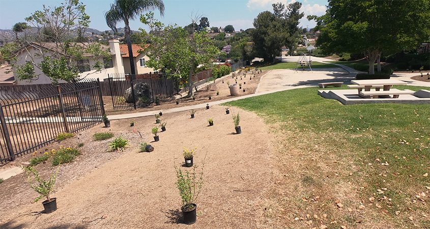 With assistance from the Landscape Optimization Service, El Norte Homes could achieve water savings and maximize its rebates to make the project cost-effective. Photo: Vallecitos Water District
