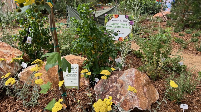 The San Diego County Water Authority award was presented to the Walter Anderson Nursery display using native California plants. Photo: San Diego County Water Authority