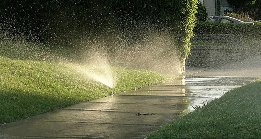 During Smart Irrigation Month, take time to check your irrigation system regularly and correct any leaks, overspray, and runoff. Photo: Tree People