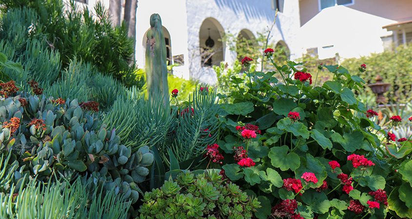 With help from design professionals, learn to transform your landscaping into a beautiful, colorful space and use less water. Photo: Helix Water District free landscape makeover classes