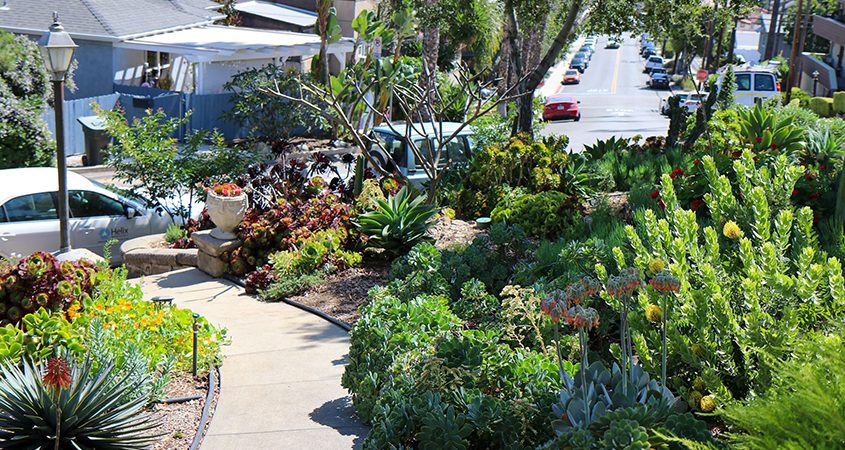 The view from the patio at the Hennings' La Mesa home. Photo: Helix Water District 