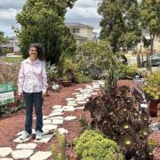 Carolina Schultz's transformed landscape demonstrates how homeowners can create a beautiful, California-friendly landscape using less water. Photo: Sweetwater Authority