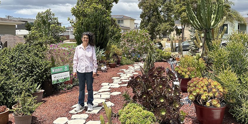 Carolina Schultz's transformed landscape demonstrates how homeowners can create a beautiful, California-friendly landscape using less water. Photo: Sweetwater Authority