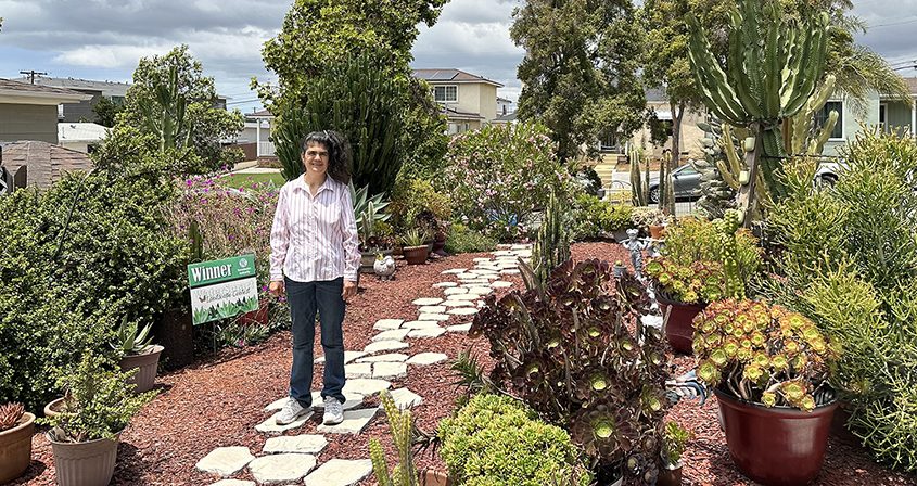 Carolina Schultz's transformed landscape demonstrates how homeowners can create a beautiful, California-friendly landscape using less water. Photo: Sweetwater Authority