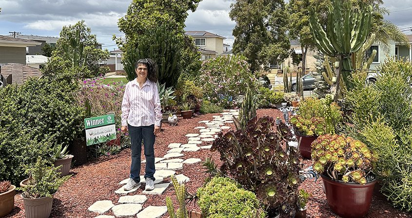 Carolina Schultz's transformed landscape demonstrates how homeowners can create a beautiful, California-friendly landscape using less water. Photo: Sweetwater Authority