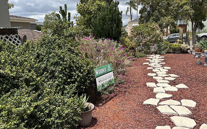 The space is now full of low-water use plants, steppingstones, and decorative planters. Photo: Sweetwater Authority landscape transformation