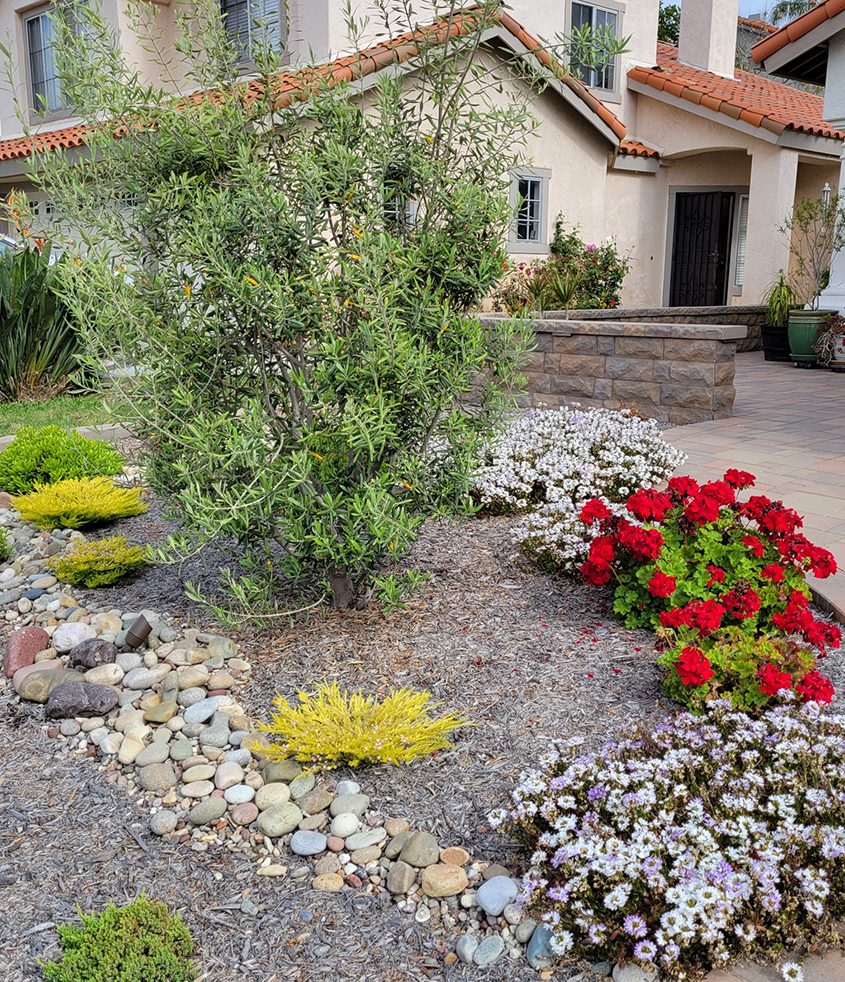 Diane Krupnake wanted a landscape that would complement the Mediterranean aesthetic of her home. Photo: Vista Irrigation District landscape