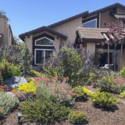 A drought tolerant design inspired by mountain views is the 2023 winner of the San Dieguito Water District Landscape Makeover Contest. Photo: San Dieguito Water District