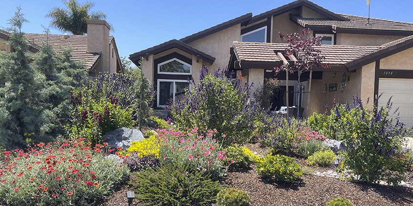 A drought tolerant design inspired by mountain views is the 2023 winner of the San Dieguito Water District Landscape Makeover Contest. Photo: San Dieguito Water District