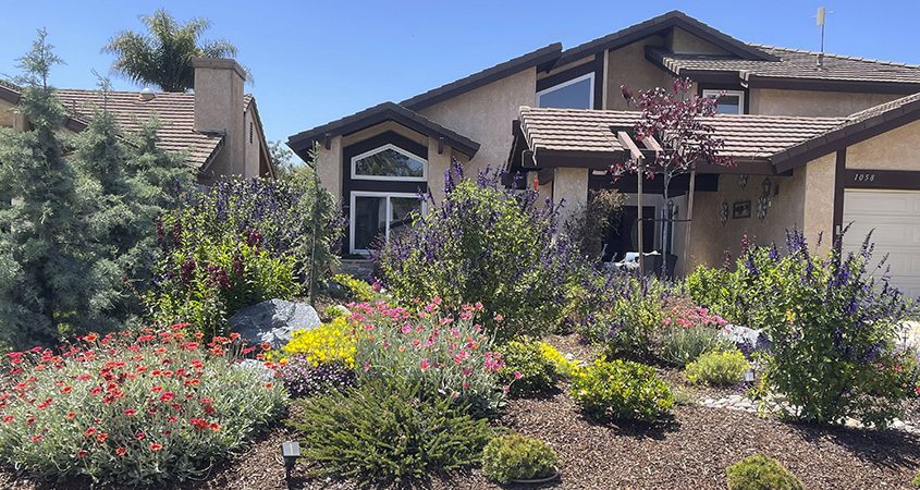 A drought tolerant design inspired by mountain views is the 2023 winner of the San Dieguito Water District Landscape Makeover Contest. Photo: San Dieguito Water District