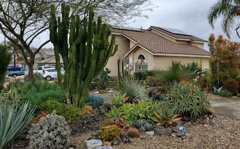 Donald De Tar's home after completing his landscape makeover. Photo: Vallecitos Water District 2023