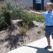 Dean Williams replace his grass with colorful drought tolerant plants. His landscape makeover won first place. Photo: Vallecitos Water District 2023