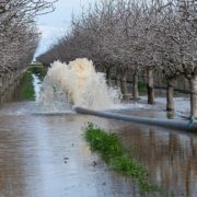 groundwater recharge-California-climate change-water management