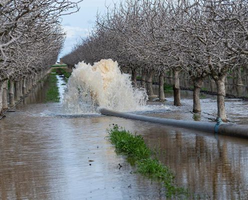 groundwater recharge-California-climate change-water management