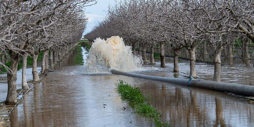 groundwater recharge-California-climate change-water management