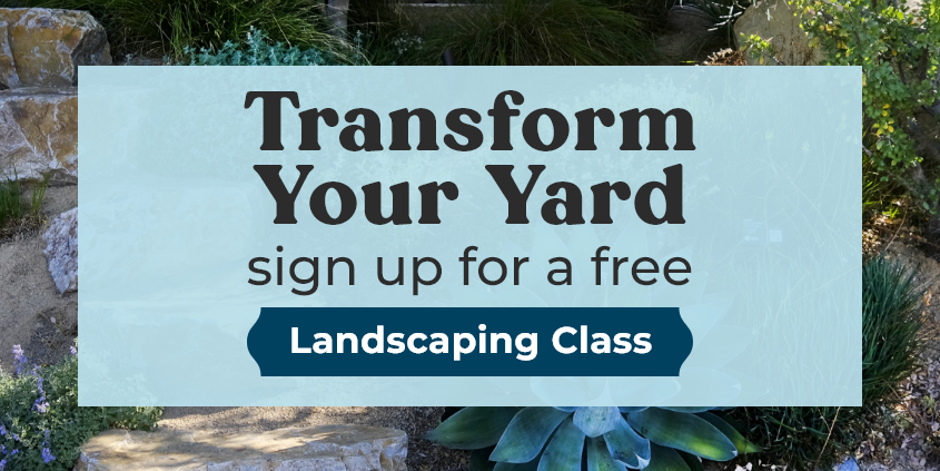 WaterSmart classes-landscapes-landscape-water conservation