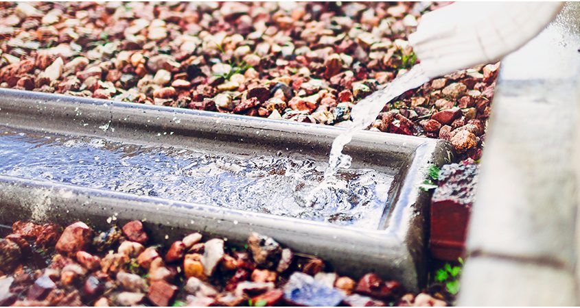 Directing downspouts into water collecting features in your landscaping makes use of rainfall. Photo: County of San Diego rain barrel rebates