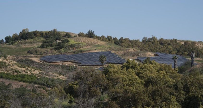 Rice Canyon Ranch avocado farm-Josh Kane-One Water-water savings