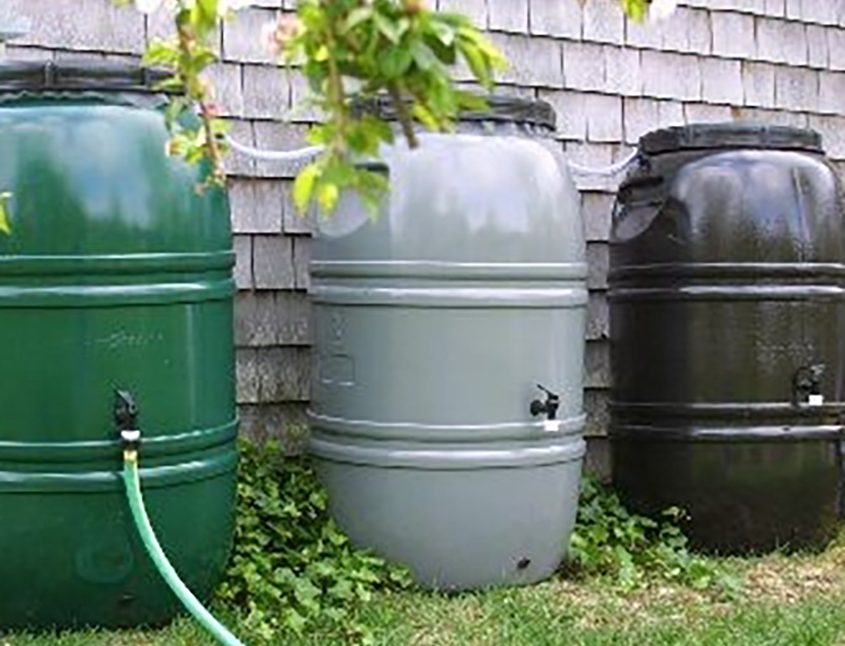 Making use of rain barrels is good for the environment and good for your household budget. Photo: National Audubon Society