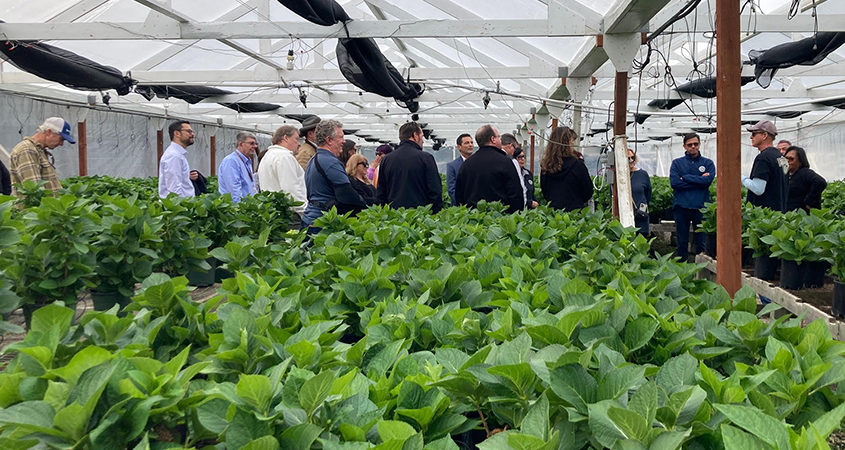 Northern California water industry leaders tour the FlorAbunda Nursery in the Elfin Forest area to see water use efficiency measures in place. Photo: San Diego County Water Authority