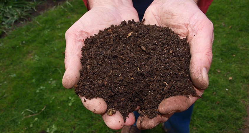 Nutrient-rich compost produced by vermiculture helps soil retain rainwater in your garden, preventing it from picking up pollutants and washing them into stormdrains. Photo: Pixabay/CC