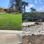 The Fairways HOA landscape makeover in Lake San Marcos retains some turf mixed with low-water use plants for substantial water savings. Photo: Vallecitos Water District