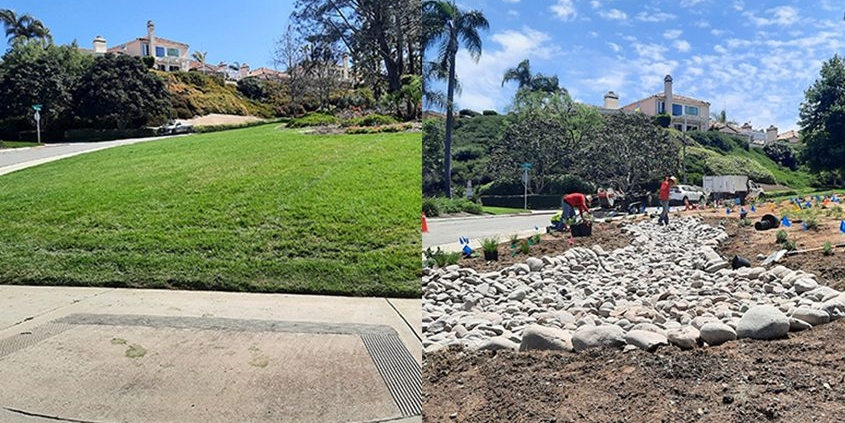 The Fairways HOA landscape makeover in Lake San Marcos retains some turf mixed with low-water use plants for substantial water savings. Photo: Vallecitos Water District