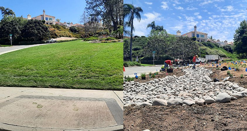 The Fairways HOA landscape makeover in Lake San Marcos retains some turf mixed with low-water use plants for substantial water savings. Photo: Vallecitos Water District