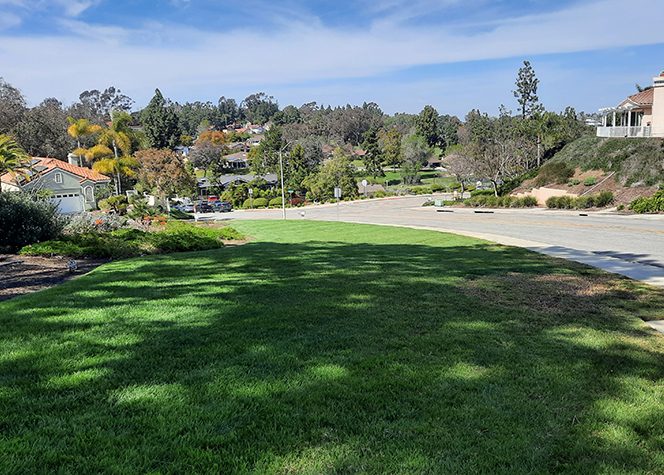 The original Fairways HOA landscaping included large areas of unused grass. Photo: Vallecitos Water District savings