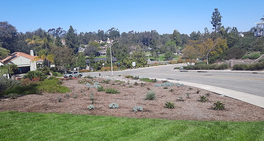 The completed Fairways HOA landscape makeover in Lake San Marcos retains some turf mixed with low-water use plants for substantial water savings. Photo: Vallecitos Water District