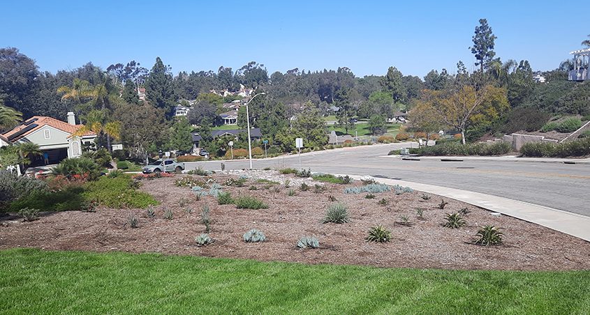 The completed Fairways HOA landscape makeover in Lake San Marcos retains some turf mixed with low-water use plants for substantial water savings. Photo: Vallecitos Water District