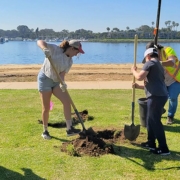 Volunteers participate in the City of San Diego's Arbor Day tree planting event in 2023. Photo: City of San Diego