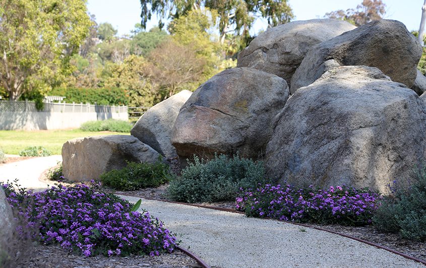 New landscape features include boulders framing walkways. Photo: MSE Landscape