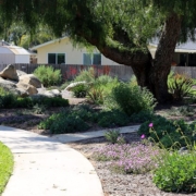 The Jamacha Park Homeowners Association in Rancho San Diego is a 2024 MWD One Water Award recipient for its landscape makeover project. Photo: MSE Landscaping