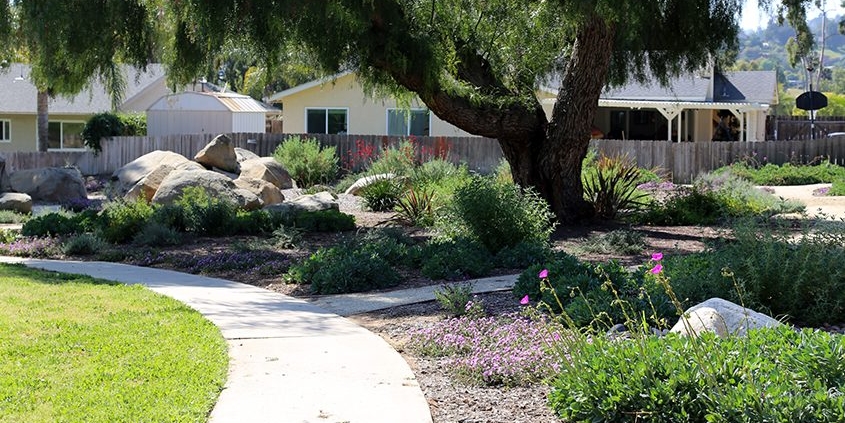 The Jamacha Park Homeowners Association in Rancho San Diego is a 2024 MWD One Water Award recipient for its landscape makeover project. Photo: MSE Landscaping
