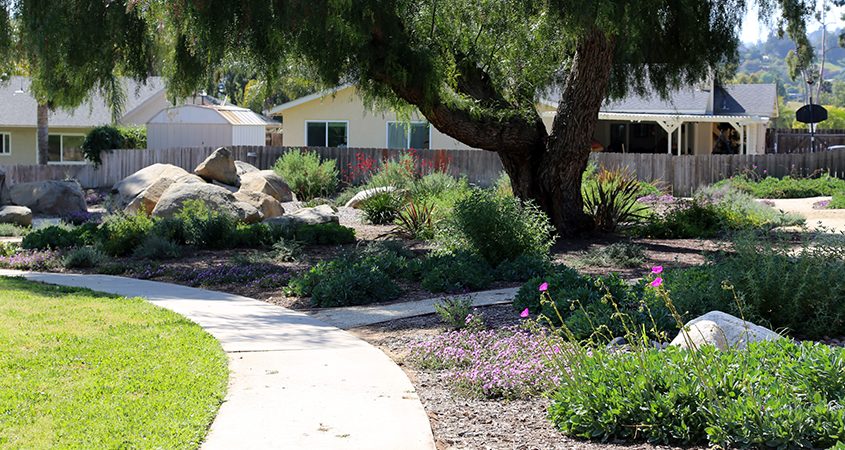 The Jamacha Park Homeowners Association in Rancho San Diego is a 2024 MWD One Water Award recipient for its landscape makeover project. Photo: MSE Landscaping