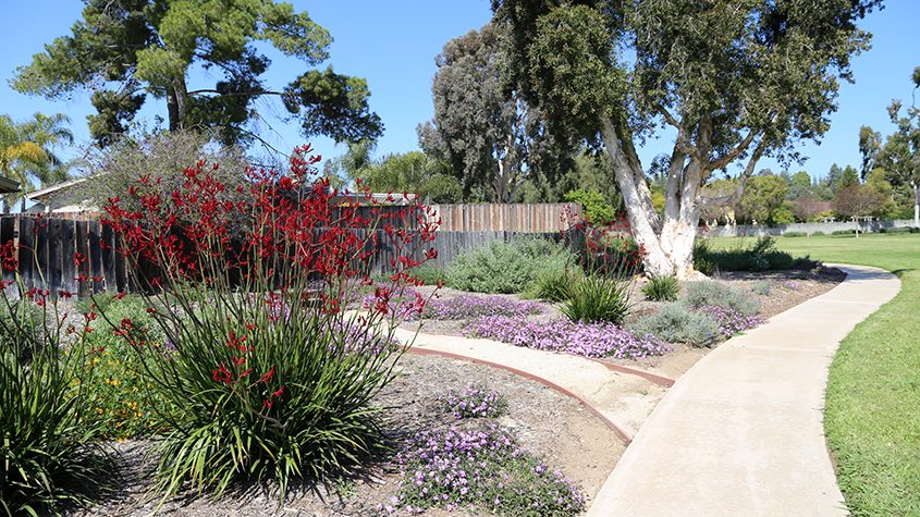 Accessible walkways bring residents closer to nature as part of its new landscaping. Photo: MSE Landscape