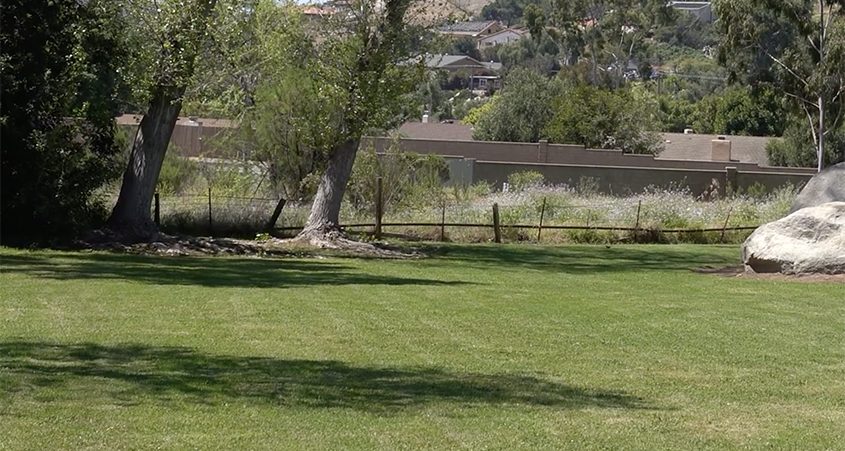 The Jamacha Park community's landscaping before its makeover. Photo: MSE Landscape/Screenshot