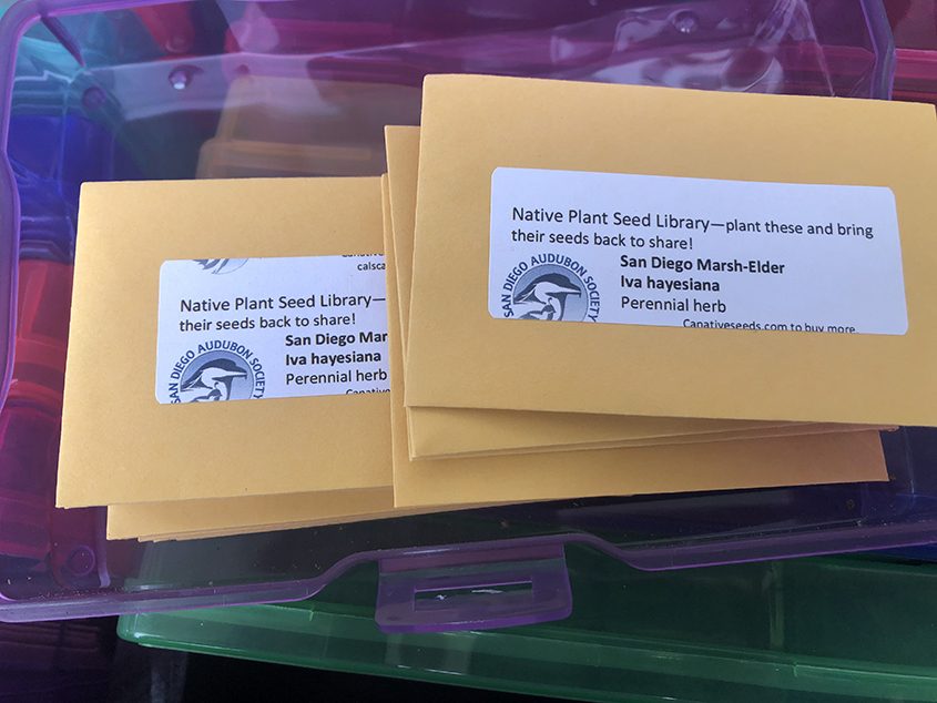 Native seeds are carefully packaged and labeled for distribution. Photo: Chris Robbins, Vallecitos Water District