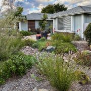 Homeowner Rick Whitney's landscape makeover was named the 2024 Landscape Contest winner by the Olivenhain Municipal Water District. Photo: Olivenhain Municipal Water District