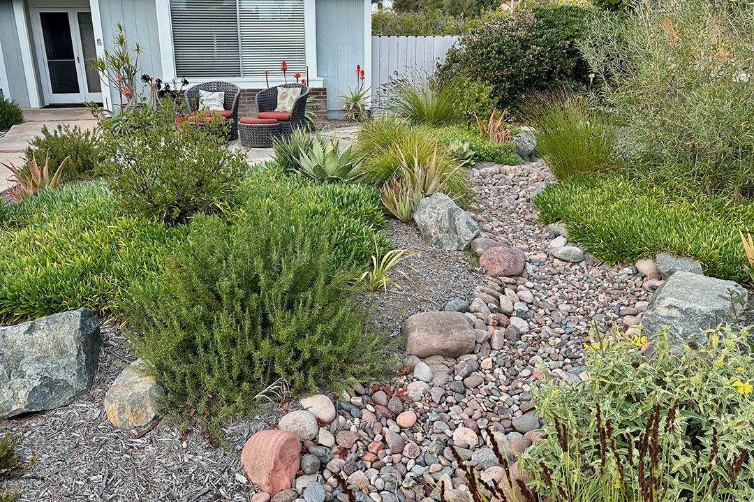 Dry riverbeds are attractive as well as functional, capturing rainwater runoff. Photo: Olivenhain Municipal Water District award-winning landscape
