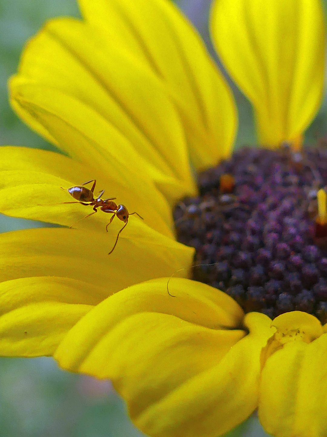 “Overlooked Elegance” by Ray Santiago - Winner, Youth Category. Photo: Olivenhain Municipal Water District